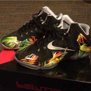 Lebron XI Everglades